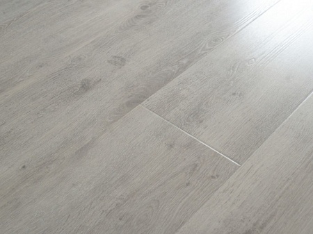 Дуб Триумф 12157