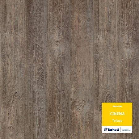 Тейлор 504108033