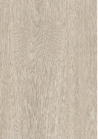 Дуб золотой 504464000