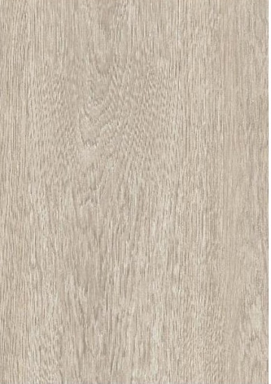 Дуб золотой 504464000