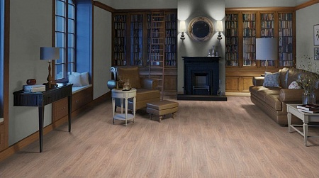 Дуб ТАНГО светлый 504023051