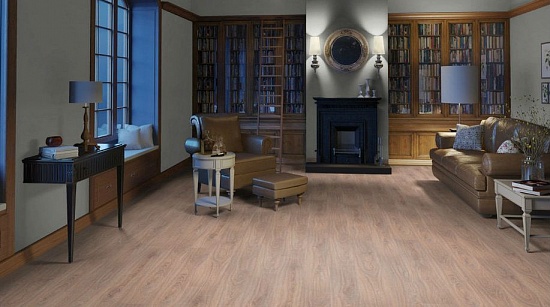 Дуб ТАНГО светлый 504023051