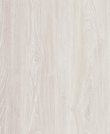 FP557 Дуб Орландо