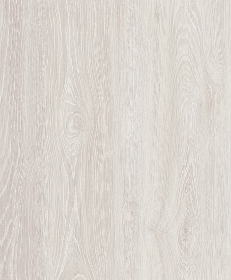 FP557 Дуб Орландо