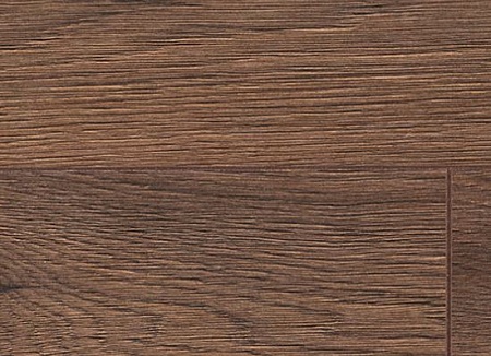 Дуб Адриатика D 3793