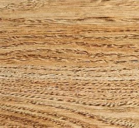 DB168-10NL Клен Сибирский