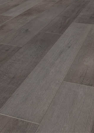 Дуб Энвил K228