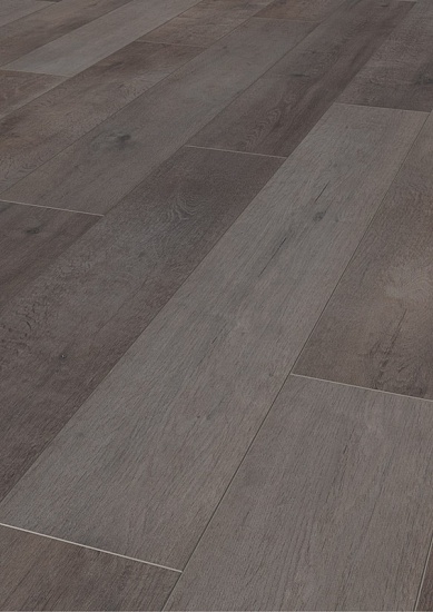 Дуб Энвил K228