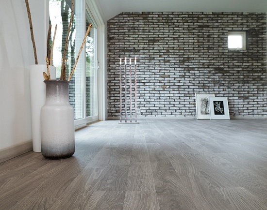 Дуб Серебряный 08532