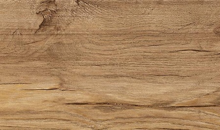 Дуб Терра 1873