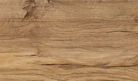 Дуб Терра 1873