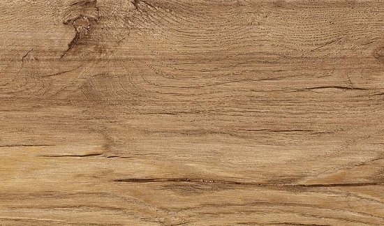 Дуб Терра 1873