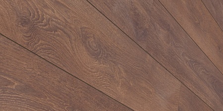 Дуб Строгий 8633