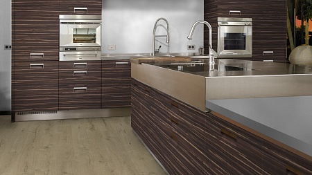 Дуб Вайлд О270 HG