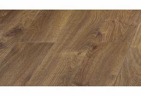 Дуб Гарда D 3104