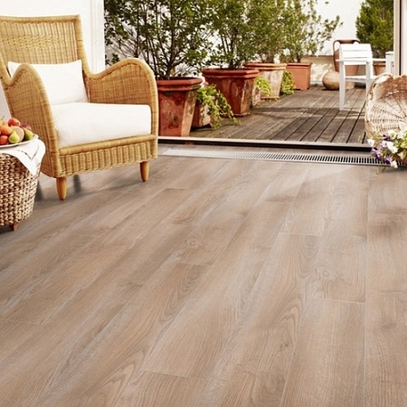 Дуб Амено 37846 AТ