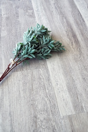 ЕСО 5-19 ДУБ ПОЛЯРНЫЙ