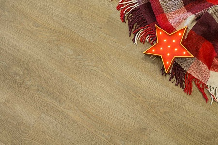 Дуб Лацио FF-1973