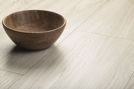 D4579 Дуб Charlie