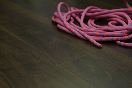 American Walnut CL8801