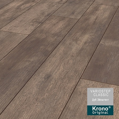 Дуб Эйншет К 066