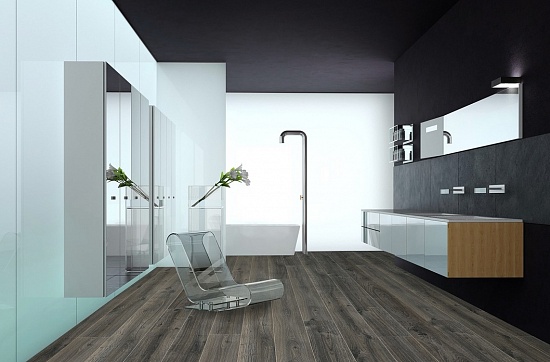 Дуб Стокгольм 04601