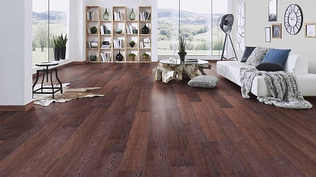 8262 Дуб Барди