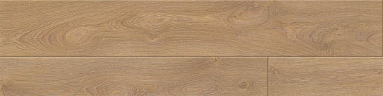 Беринг 504415022