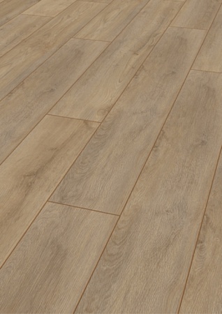 Дуб Вирунга D 8156