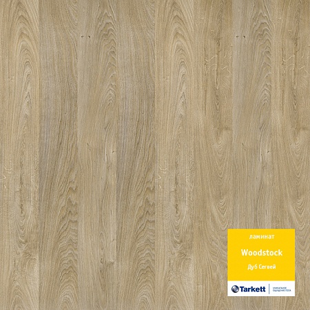 Дуб Сегвей 504044144