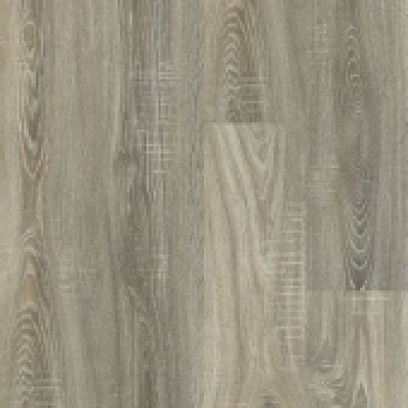 8072 Дуб Ностальгия