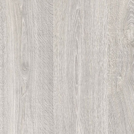 Дуб Регуляр 2800