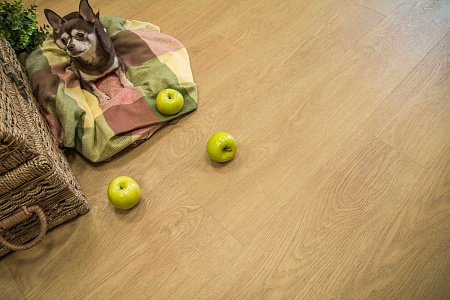 Дуб Сицилия FF-1977