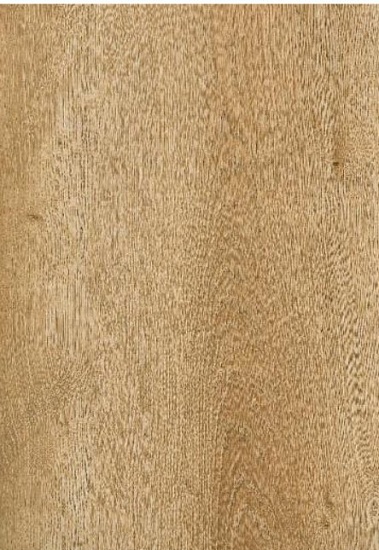 Дуб светло-коричневый 504464004
