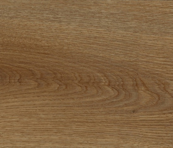 FF-1255 Дуб Октопус