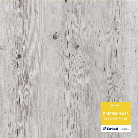 Ель альпийская 504035077