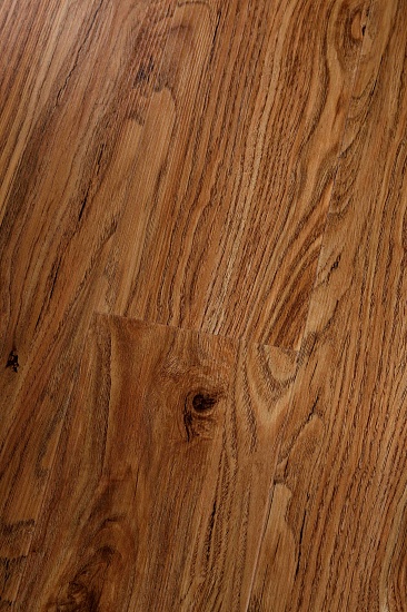 LX168-10-19 Клён сибирский