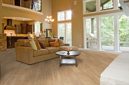 Дуб Инженариус 2801