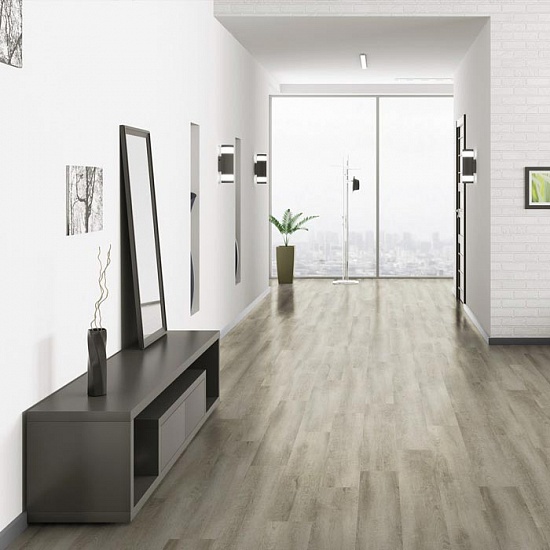 Каштан японский 504035067