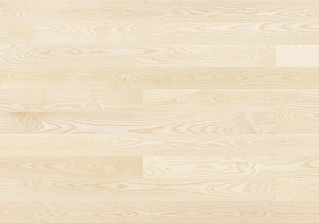 Ясень Moonlight