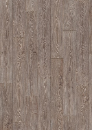 EPL090 Акация пестрая GAG