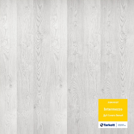 Дуб Соната белый 504023066