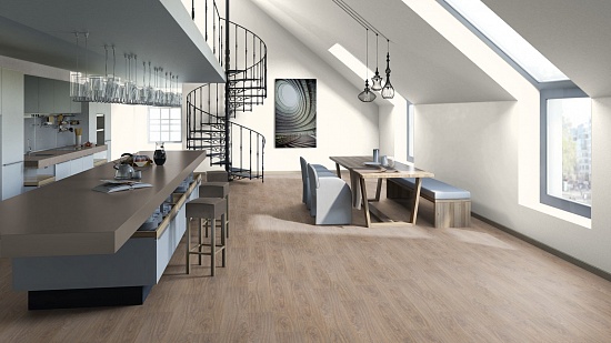 Кассиопея 504421000