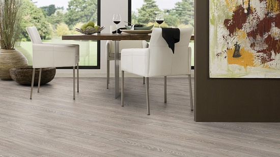 Дуб Боулдер 5542