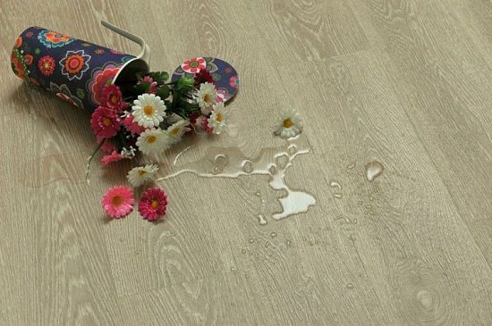 Дуб Шампань NOX-1952