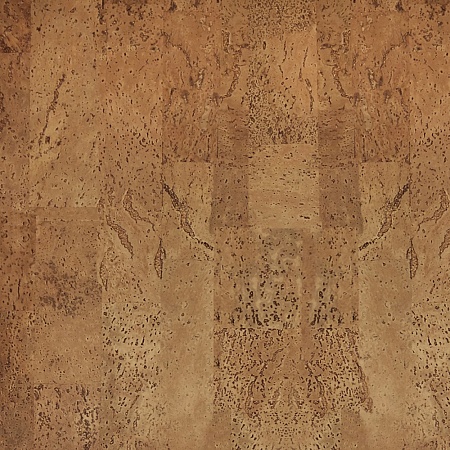 386v NN (CM3 386v NN)