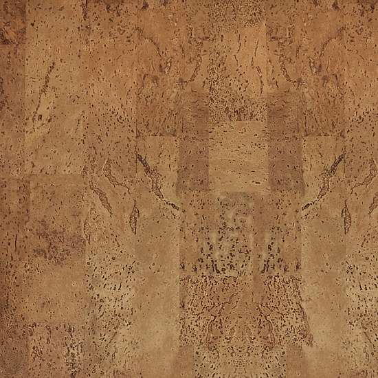 386v NN (CM3 386v NN)