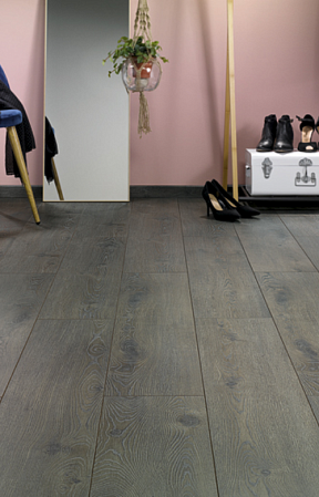 Дуб Арония S542