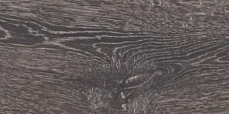 SC FB5541 Дуб Палермо