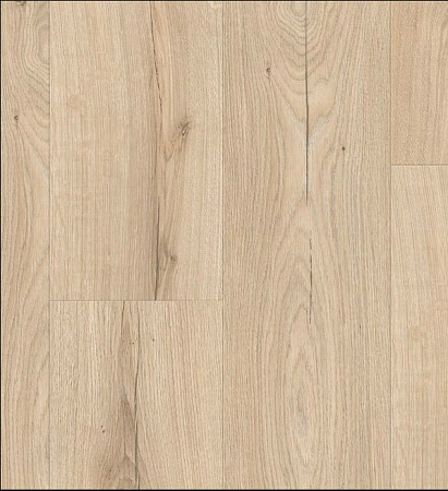 Имбирь (Canyon Natural) 6200-1334